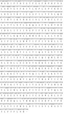 Functional Analysis of MsepOR13 in the Oriental Armyworm Mythimna separata (Walker)